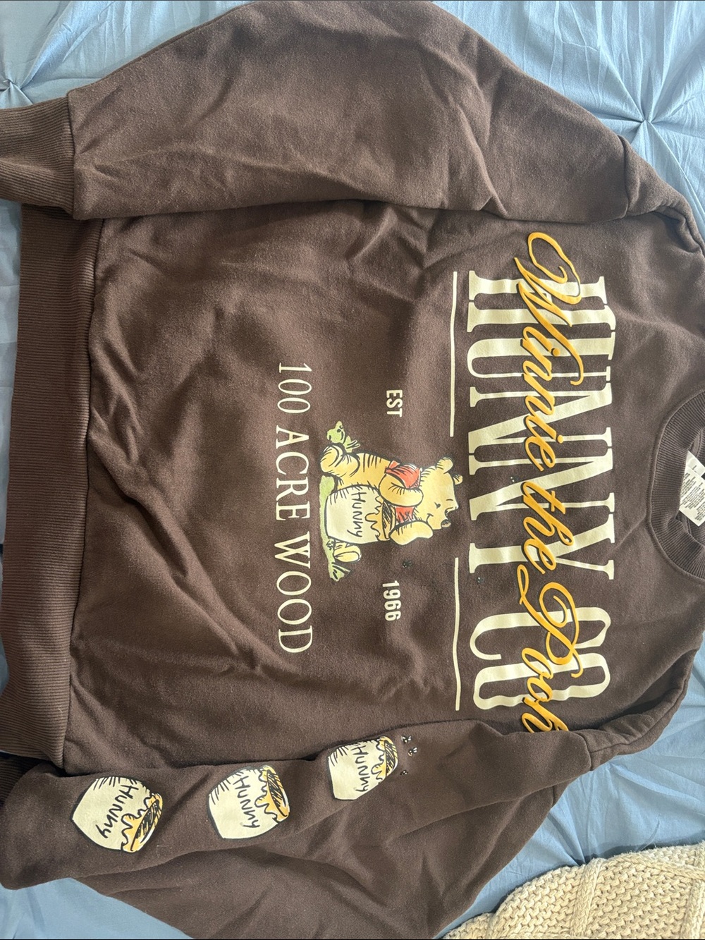 Disney Brown Winnie the Pooh 100 Acre Wood Crewneck Sweatshirt